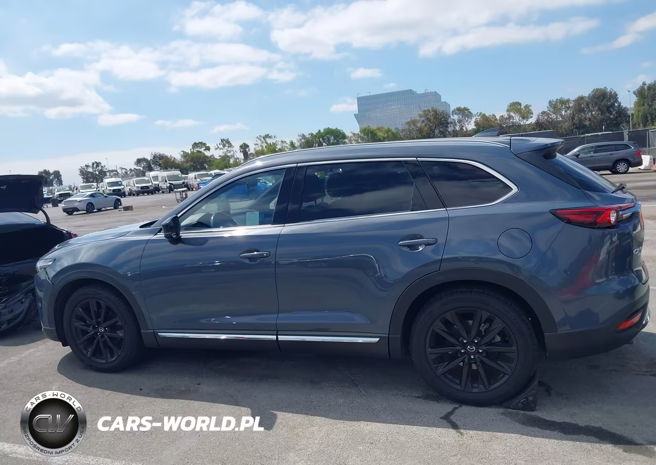 2023 Mazda Cx-9 Carbon Edition VIN:JM3TCBDY3P0634128 - 15