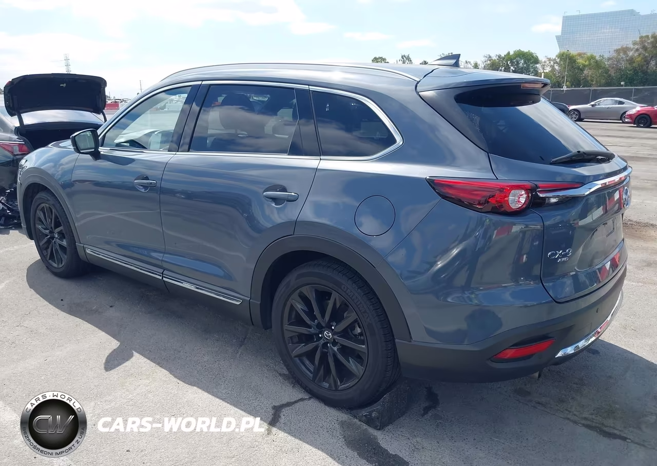 2023 Mazda Cx-9 Carbon Edition VIN:JM3TCBDY3P0634128 - 3