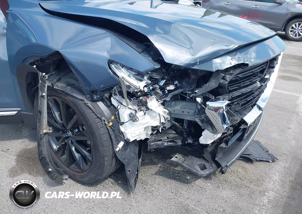 2023 Mazda Cx-9 Carbon Edition VIN:JM3TCBDY3P0634128 - 6
