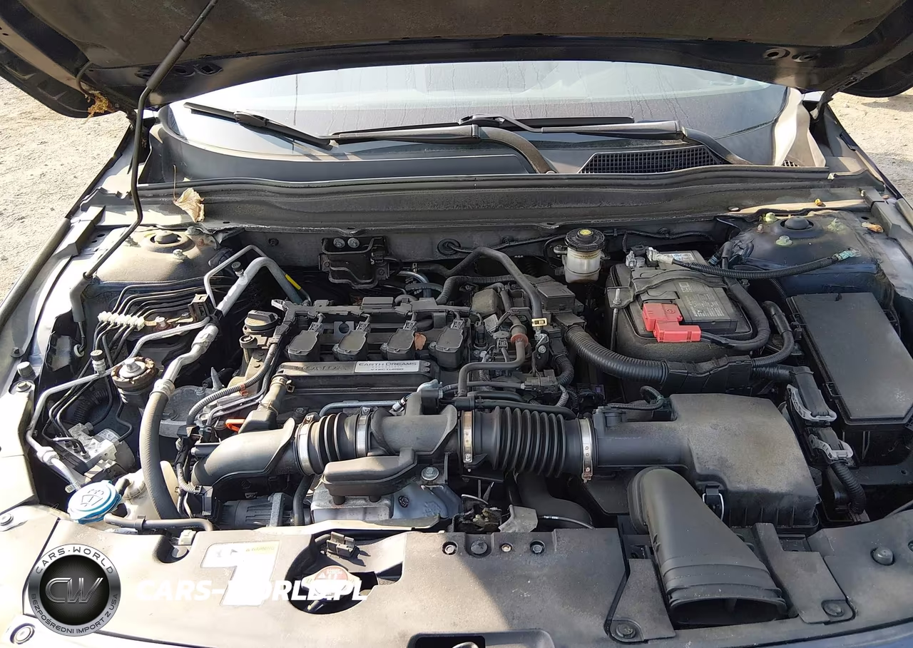 2019 Honda Accord Lx VIN:1HGCV1F14KA008699 - 10