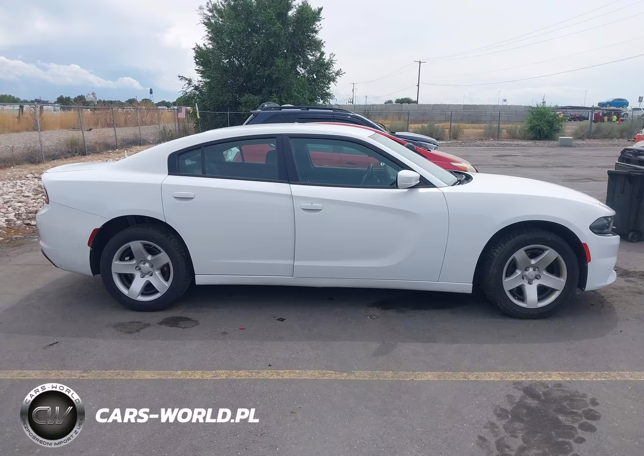 2016 Dodge Charger Police VIN:2C3CDXAG1GH356649 - 12