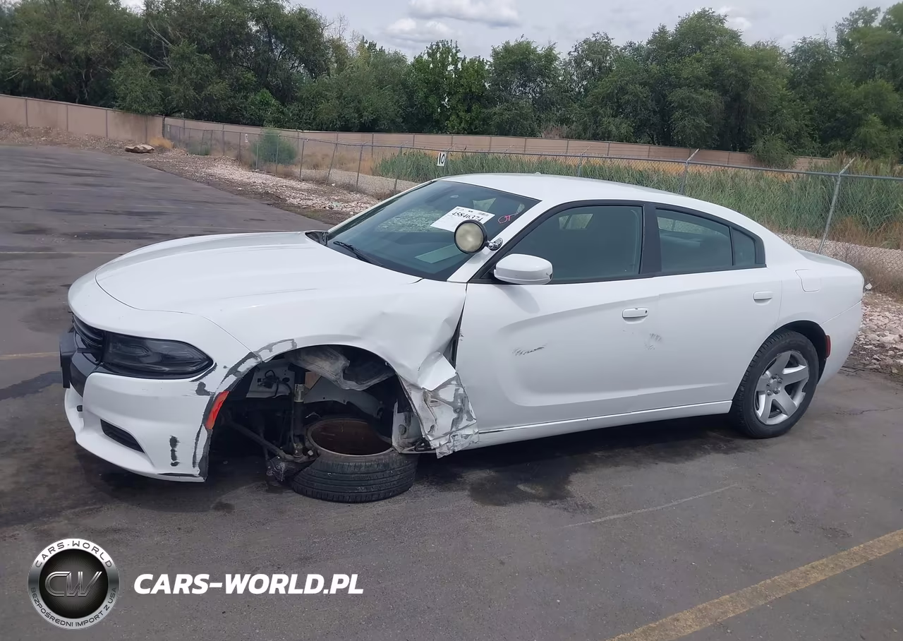 2016 Dodge Charger Police VIN:2C3CDXAG1GH356649 - 13