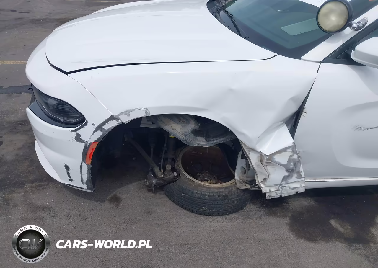 2016 Dodge Charger Police VIN:2C3CDXAG1GH356649 - 6