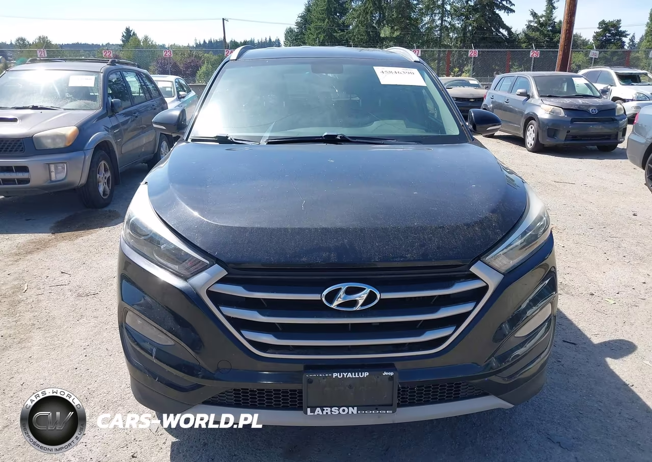 2017 Hyundai Tucson Sport VIN:KM8J3CA26HU315530 - 12