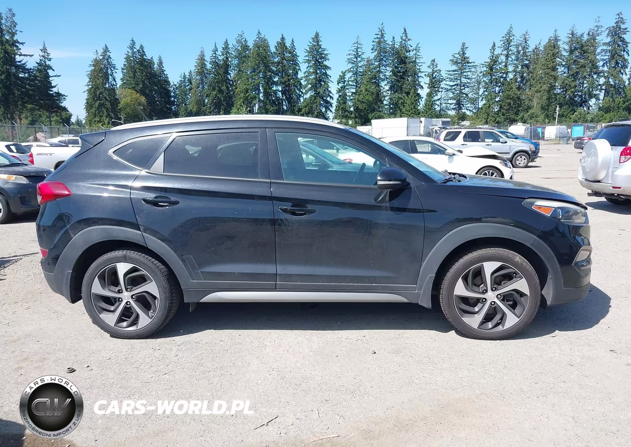 2017 Hyundai Tucson Sport VIN:KM8J3CA26HU315530 - 13
