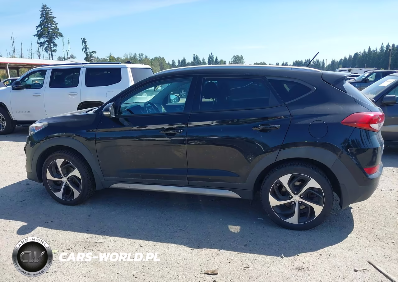 2017 Hyundai Tucson Sport VIN:KM8J3CA26HU315530 - 14