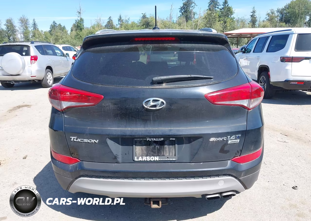 2017 Hyundai Tucson Sport VIN:KM8J3CA26HU315530 - 16