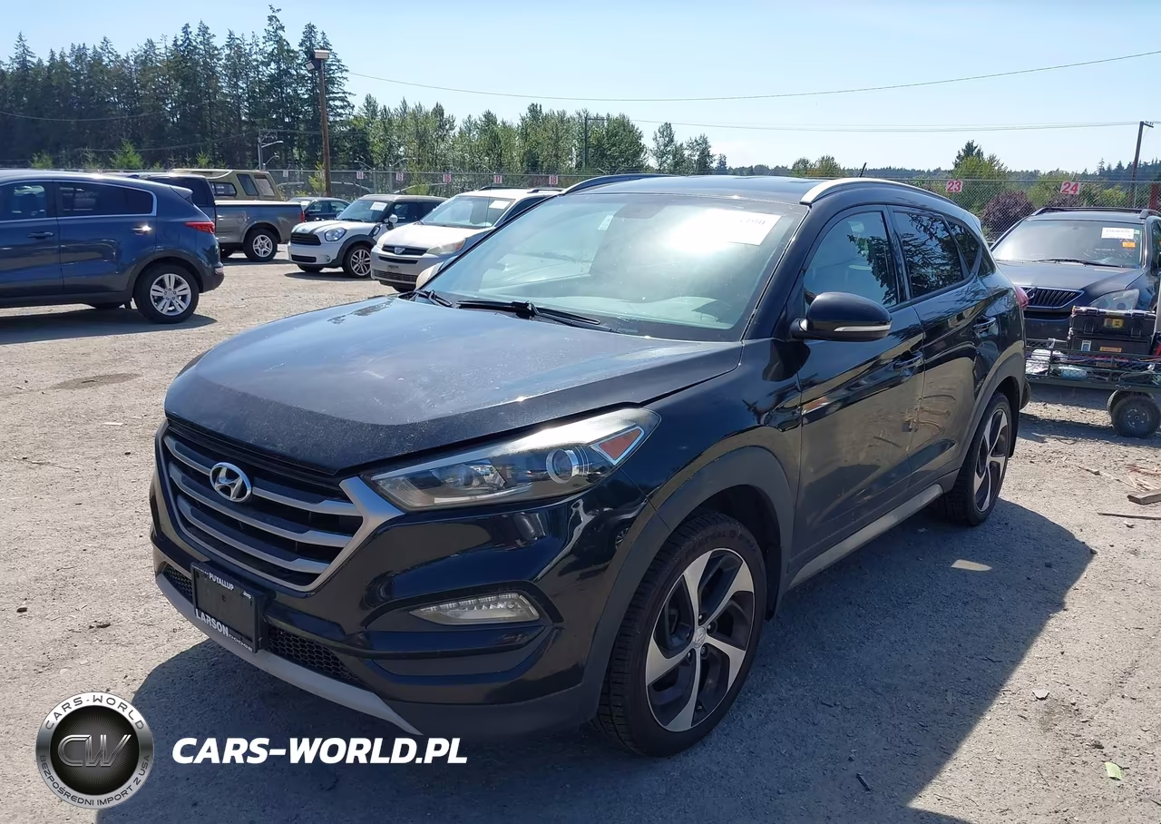 2017 Hyundai Tucson Sport VIN:KM8J3CA26HU315530 - 2