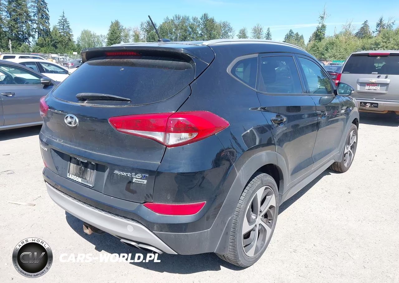 2017 Hyundai Tucson Sport VIN:KM8J3CA26HU315530 - 4