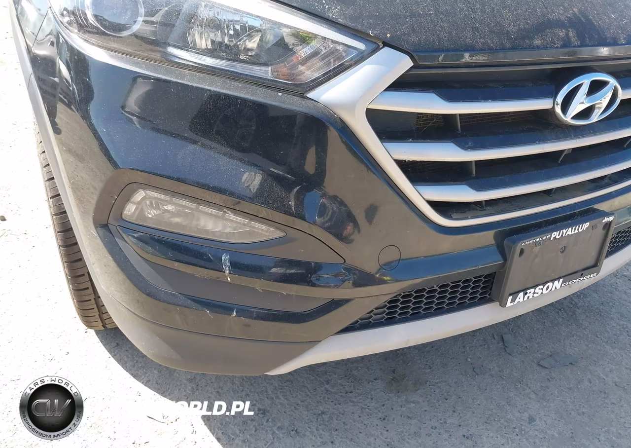 2017 Hyundai Tucson Sport VIN:KM8J3CA26HU315530 - 6