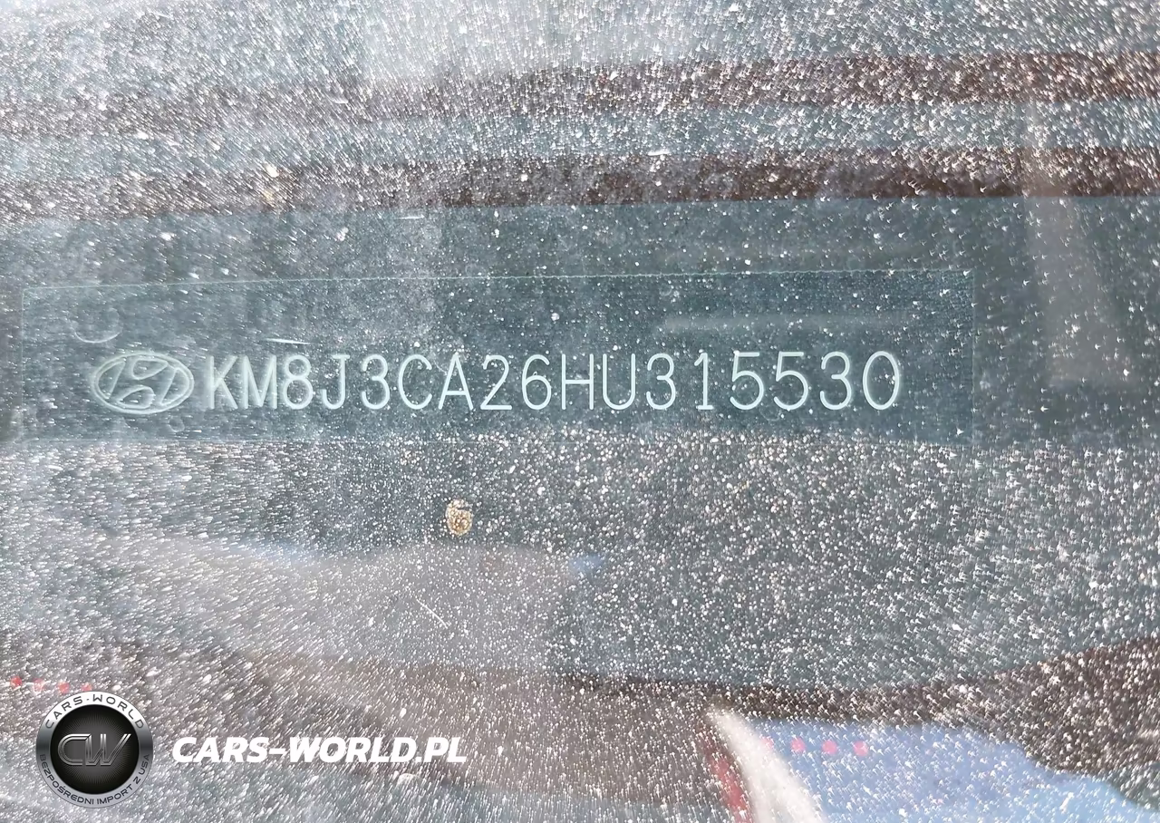2017 Hyundai Tucson Sport VIN:KM8J3CA26HU315530 - 9