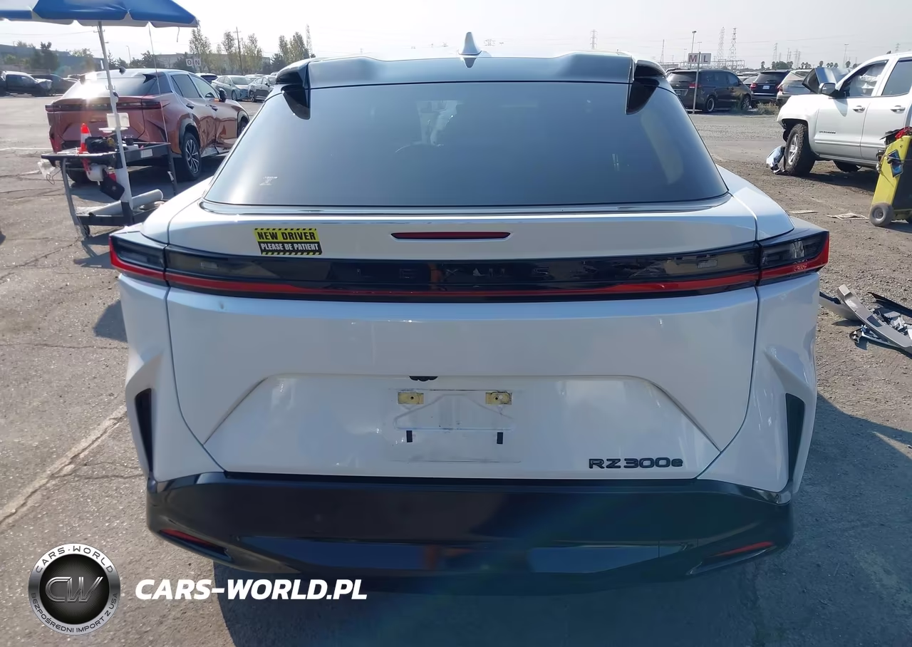 2025 Lexus Rz 300E VIN:JTJABABBXSA008572 - 17