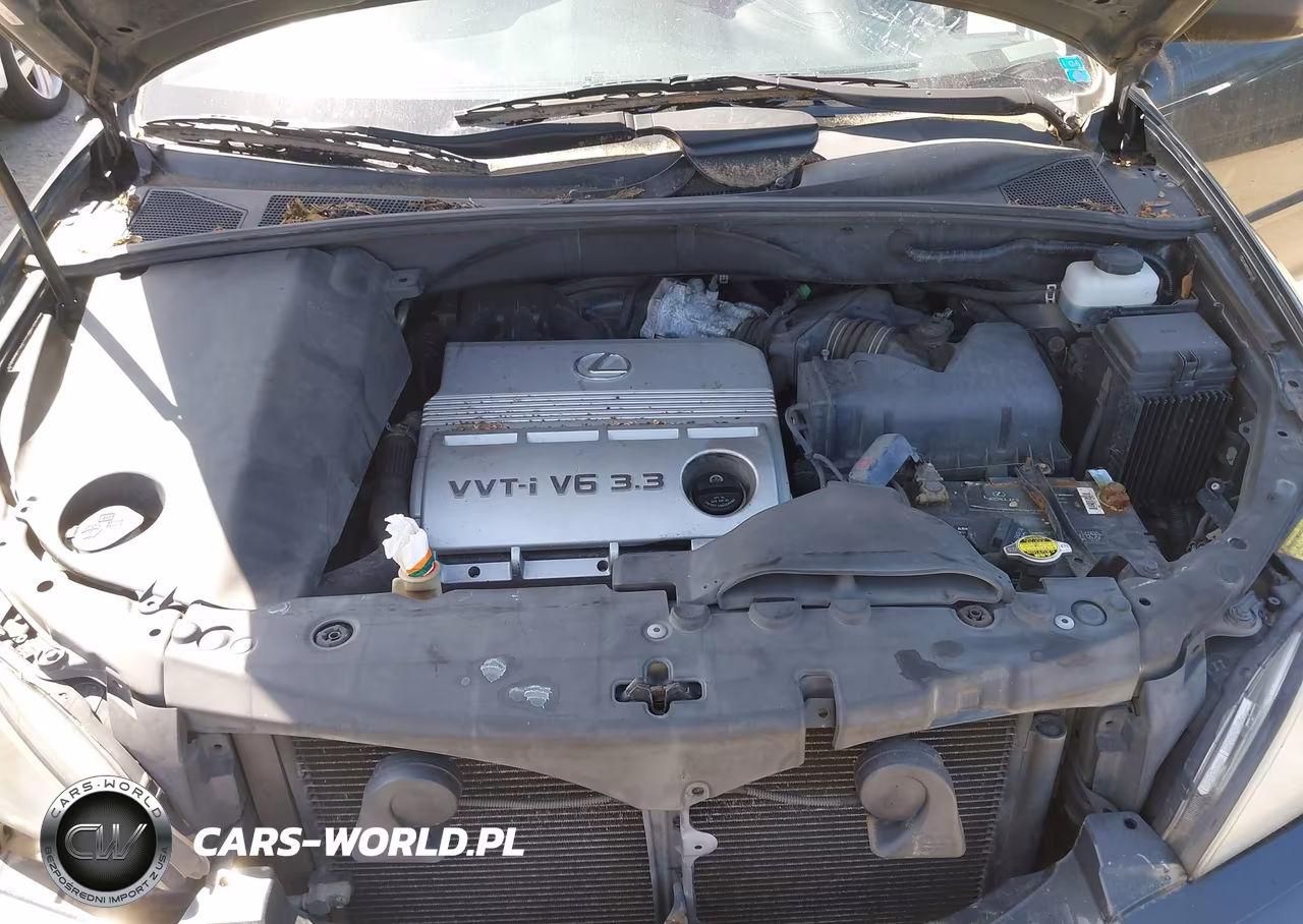 2004 Lexus Rx 330 VIN:JTJHA31U840071288 - 10