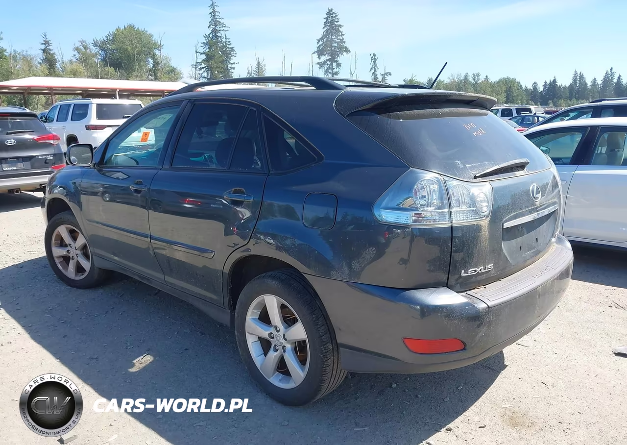 2004 Lexus Rx 330 VIN:JTJHA31U840071288 - 3