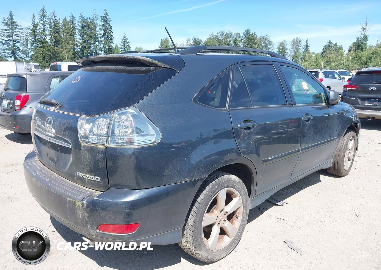 2004 Lexus Rx 330 VIN:JTJHA31U840071288 - 4