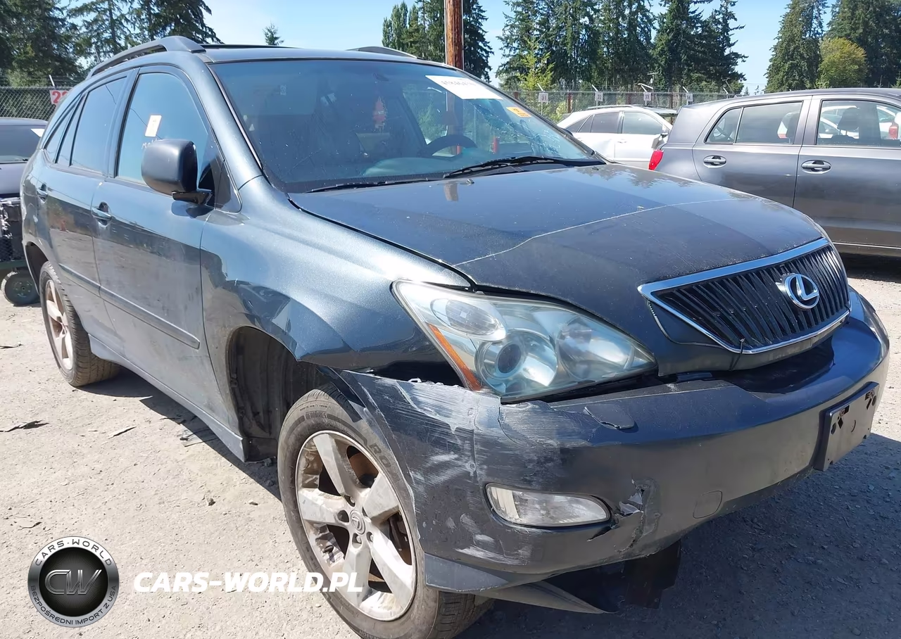 2004 Lexus Rx 330 VIN:JTJHA31U840071288 - 6