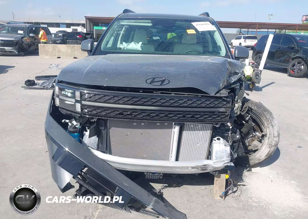 2025 Hyundai Santa Fe Calligraphy VIN:5NMP54GL7SH148995 - 13