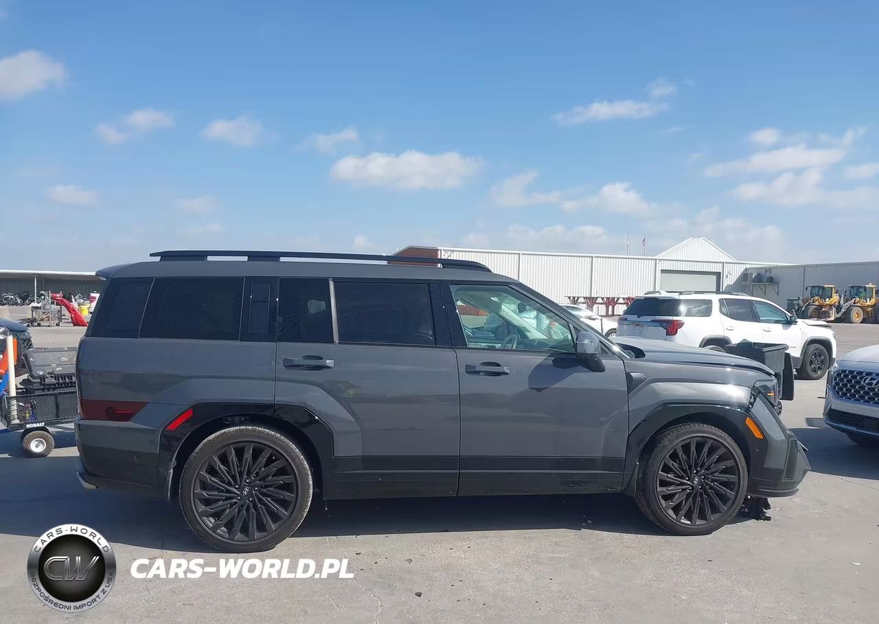 2025 Hyundai Santa Fe Calligraphy VIN:5NMP54GL7SH148995 - 14