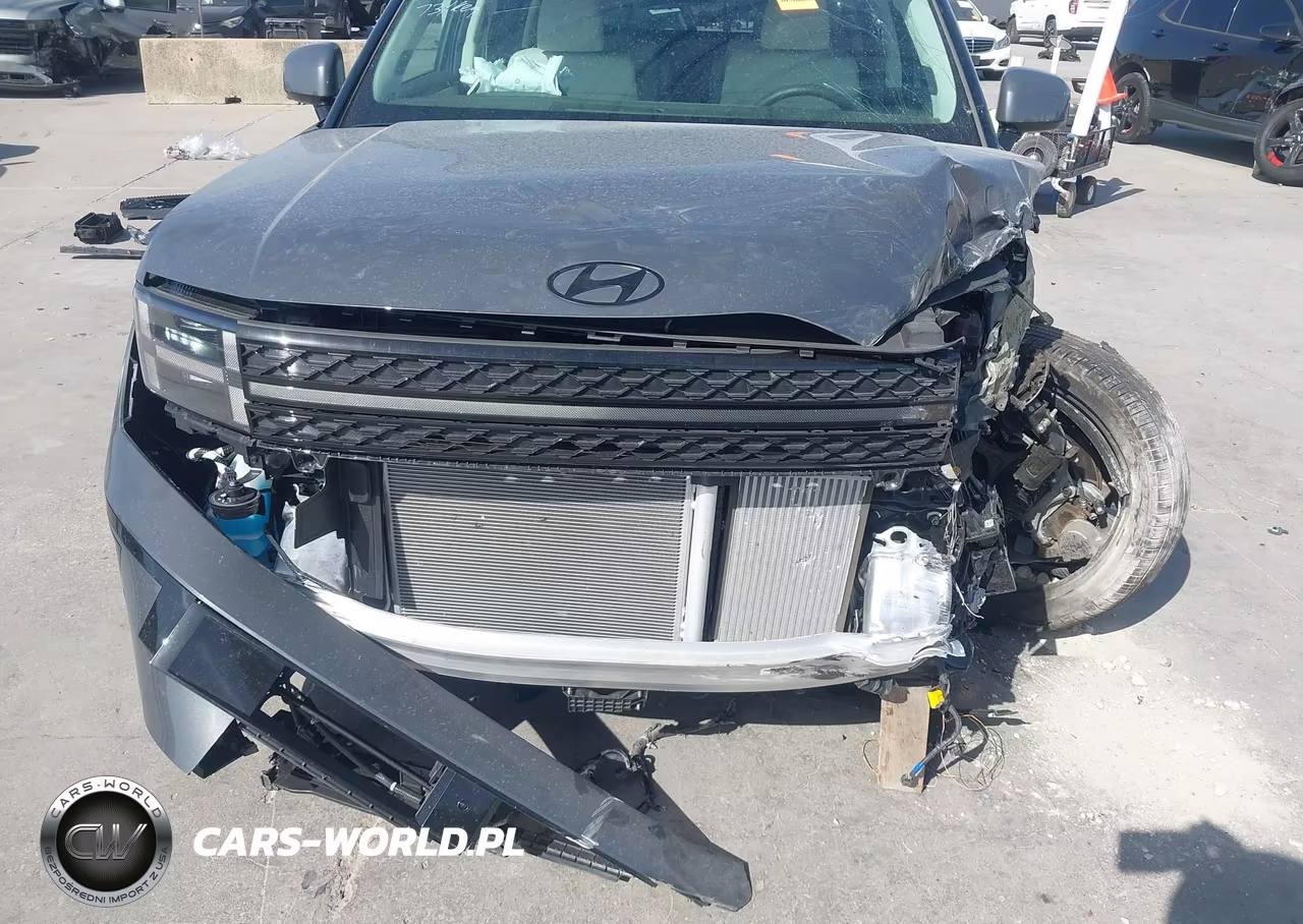 2025 Hyundai Santa Fe Calligraphy VIN:5NMP54GL7SH148995 - 19
