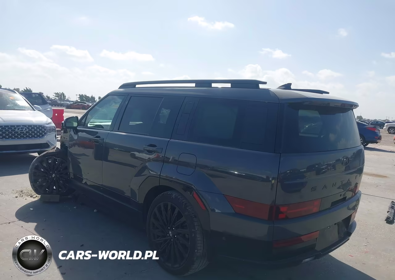 2025 Hyundai Santa Fe Calligraphy VIN:5NMP54GL7SH148995 - 3