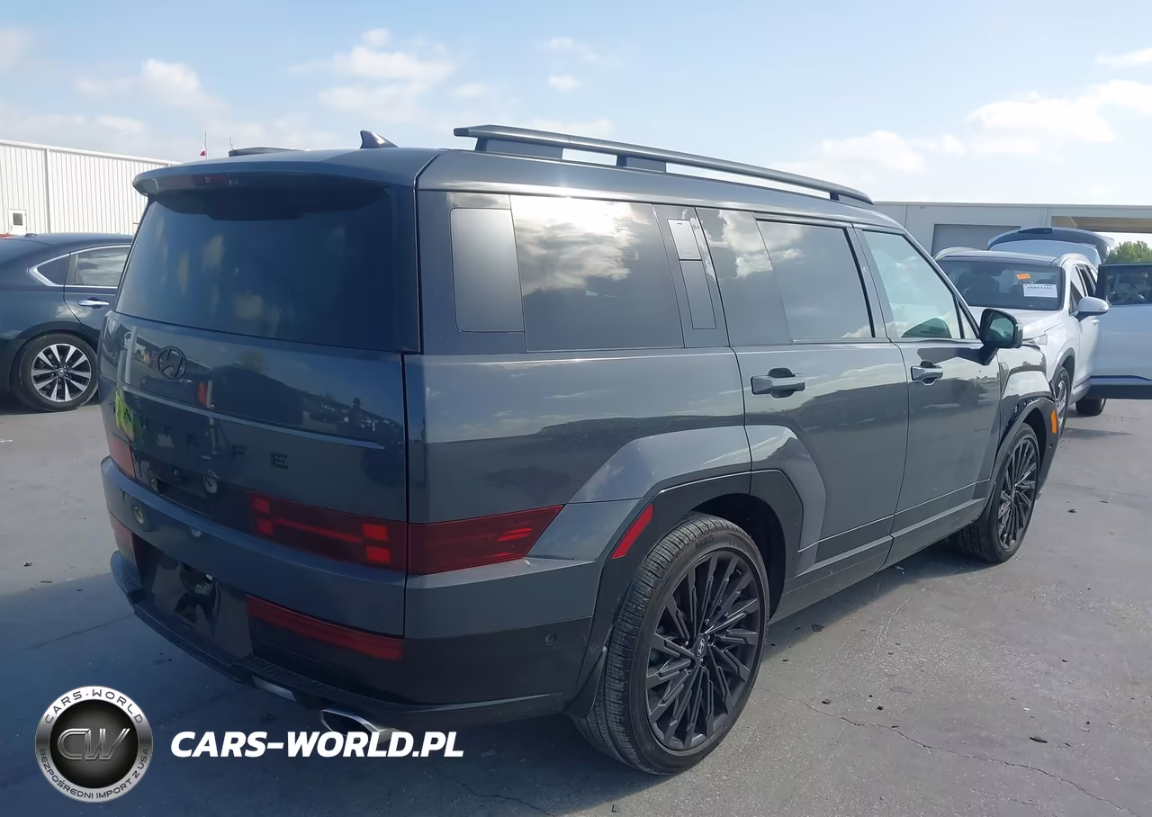 2025 Hyundai Santa Fe Calligraphy VIN:5NMP54GL7SH148995 - 4