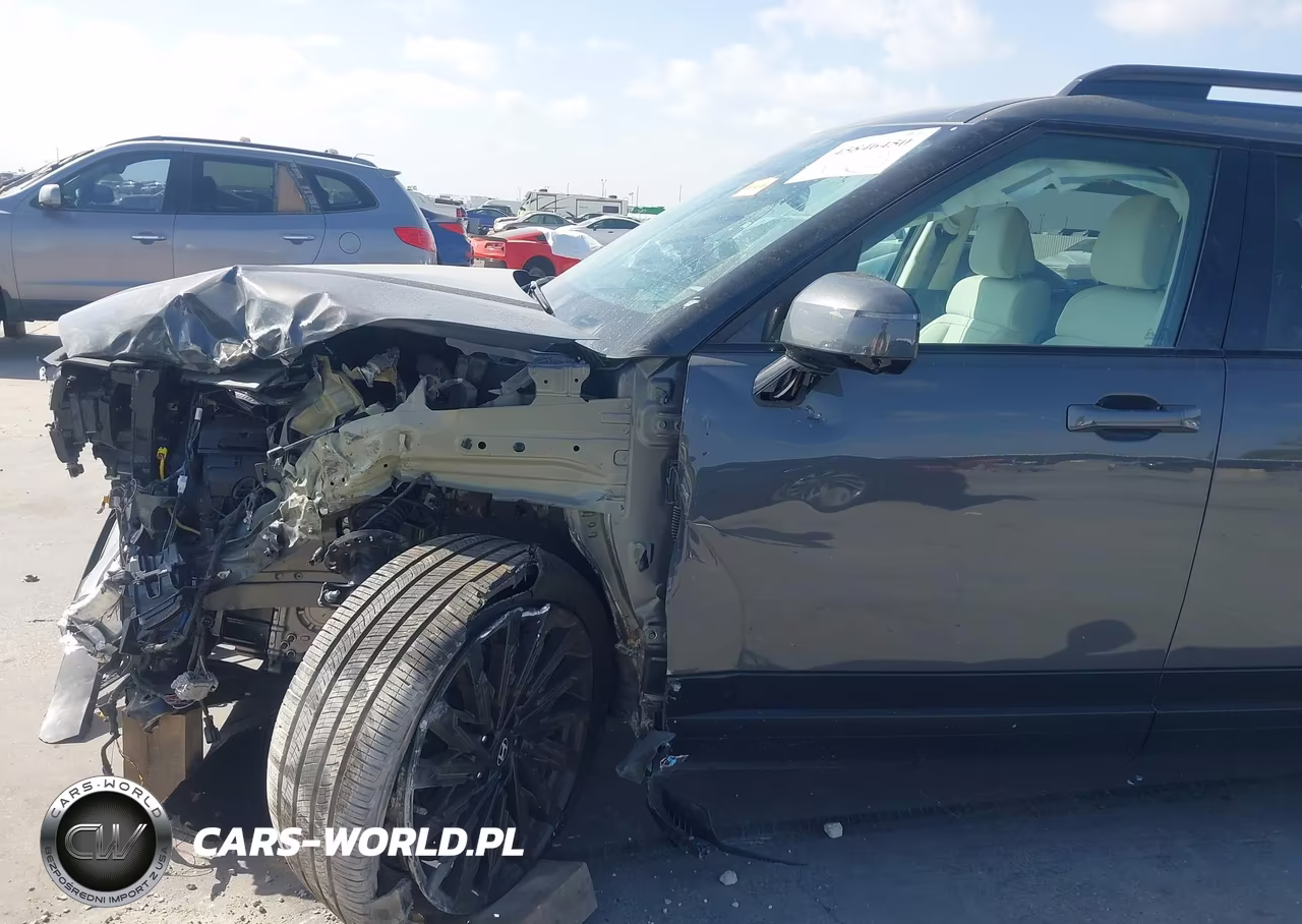 2025 Hyundai Santa Fe Calligraphy VIN:5NMP54GL7SH148995 - 6