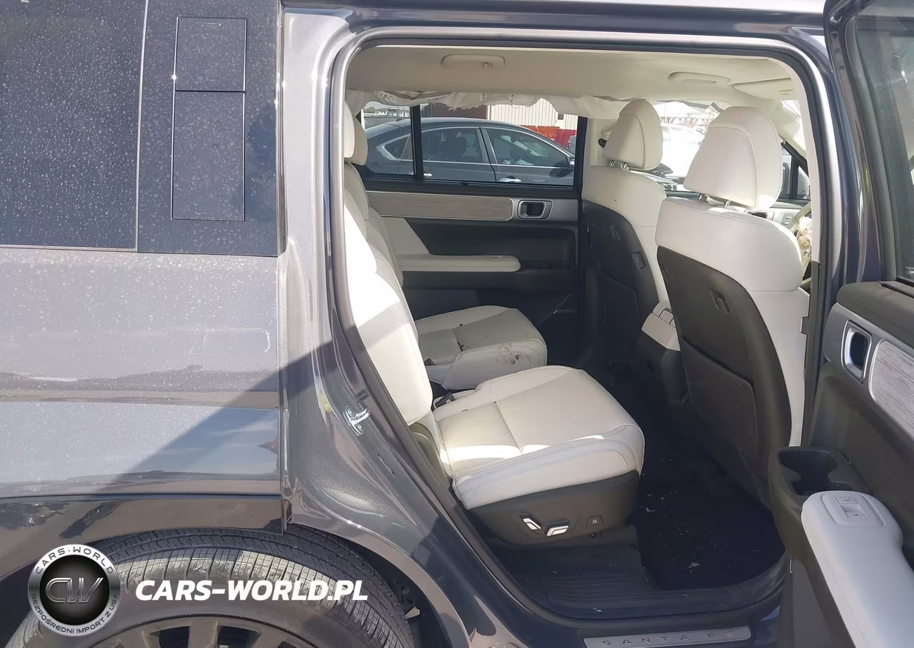 2025 Hyundai Santa Fe Calligraphy VIN:5NMP54GL7SH148995 - 8