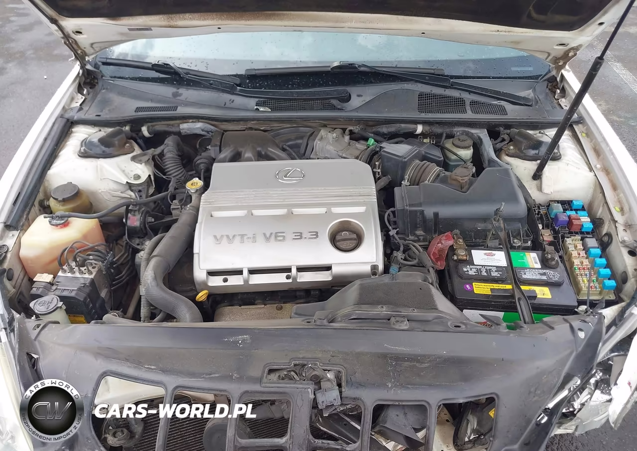 2004 Lexus Es 330 VIN:JTHBA30G645010804 - 10