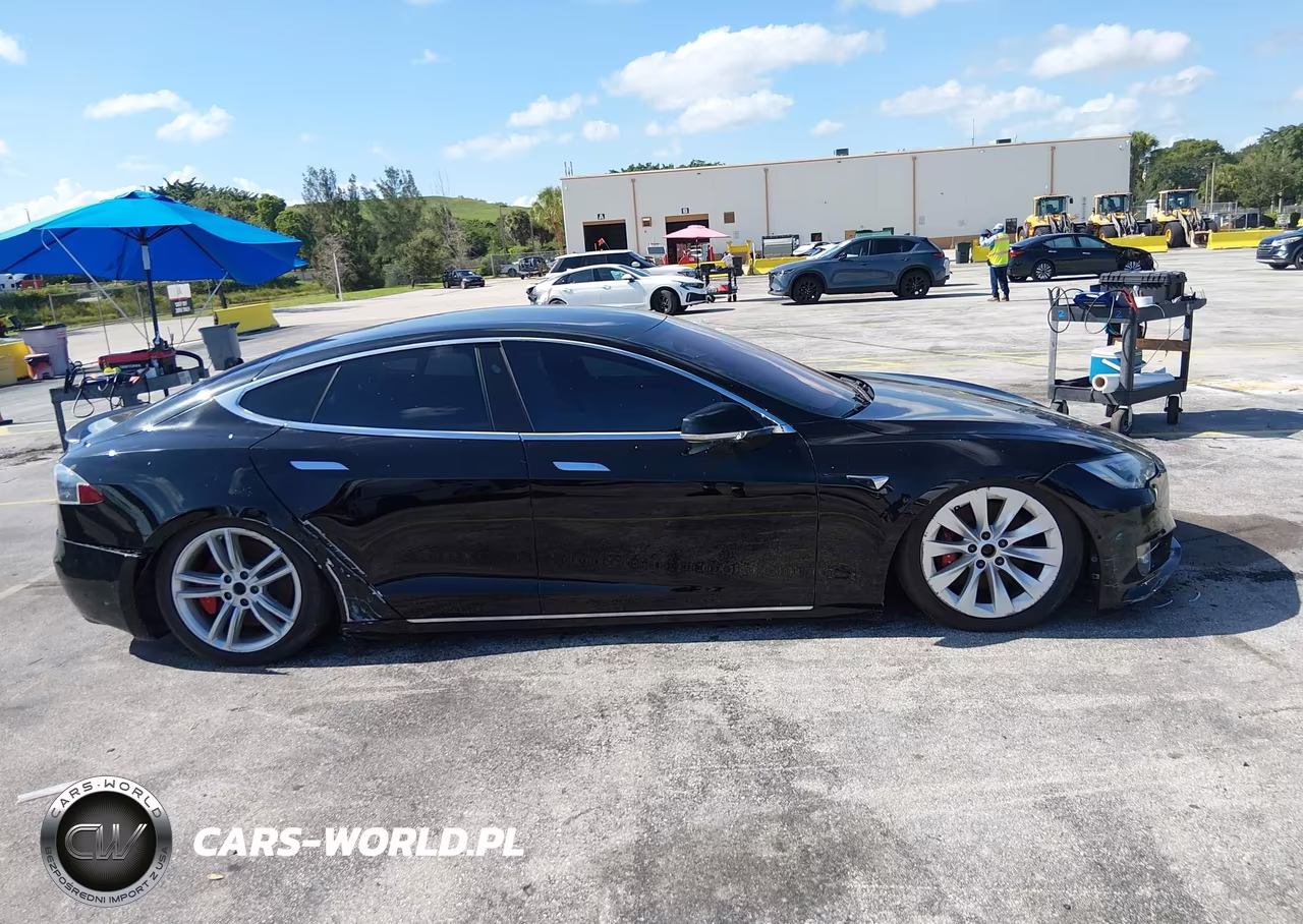 2021 Tesla Model S Performance Dual Motor All-Wheel Drive VIN:5YJSA1E48MF424282 - 12