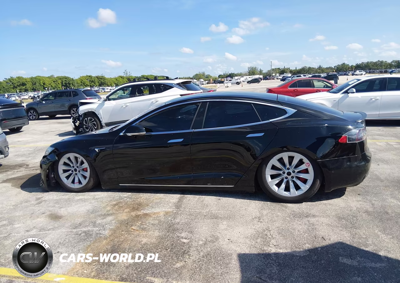 2021 Tesla Model S Performance Dual Motor All-Wheel Drive VIN:5YJSA1E48MF424282 - 13