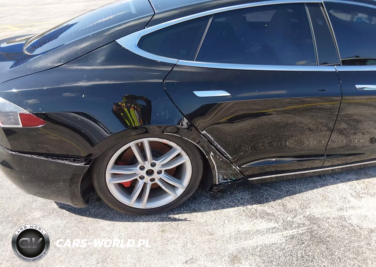 2021 Tesla Model S Performance Dual Motor All-Wheel Drive VIN:5YJSA1E48MF424282 - 18