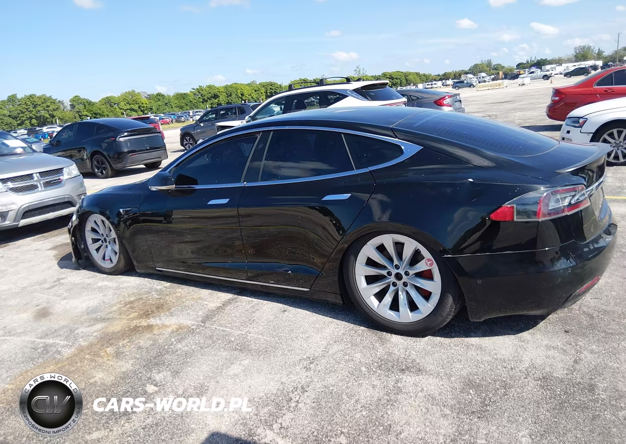 2021 Tesla Model S Performance Dual Motor All-Wheel Drive VIN:5YJSA1E48MF424282 - 19