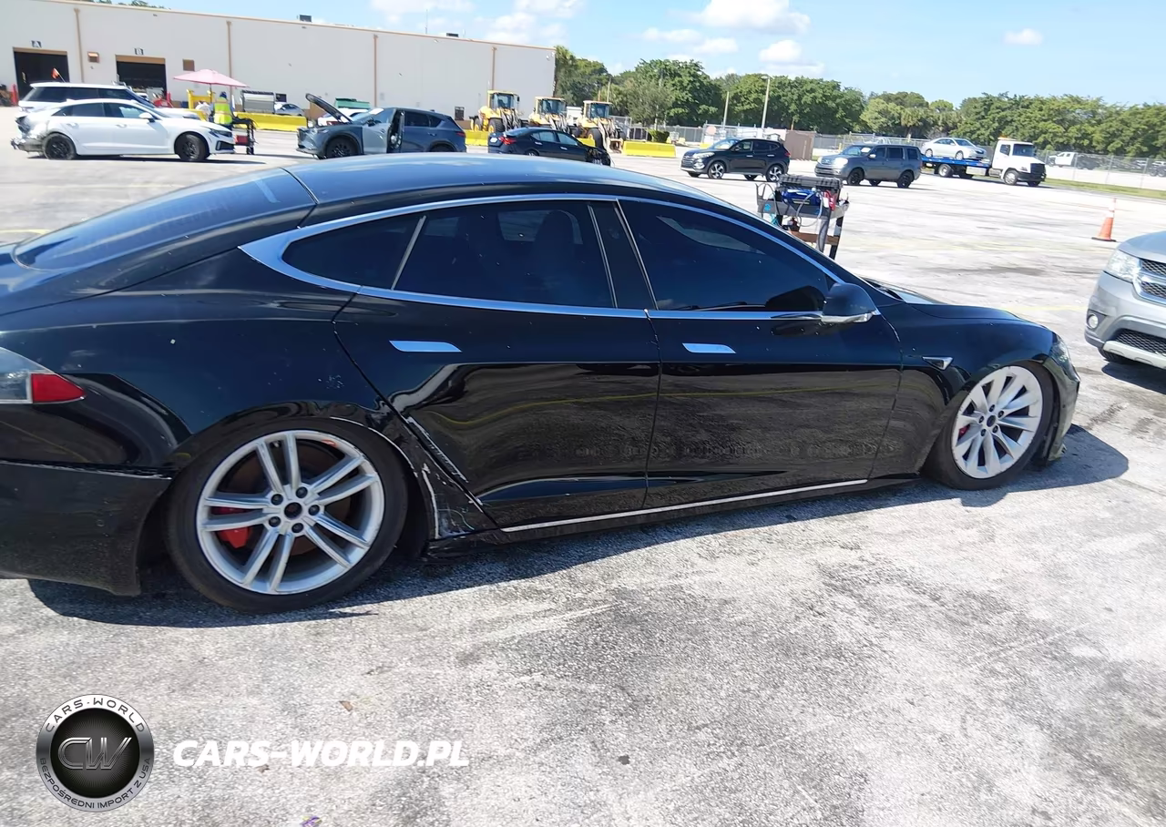 2021 Tesla Model S Performance Dual Motor All-Wheel Drive VIN:5YJSA1E48MF424282 - 6