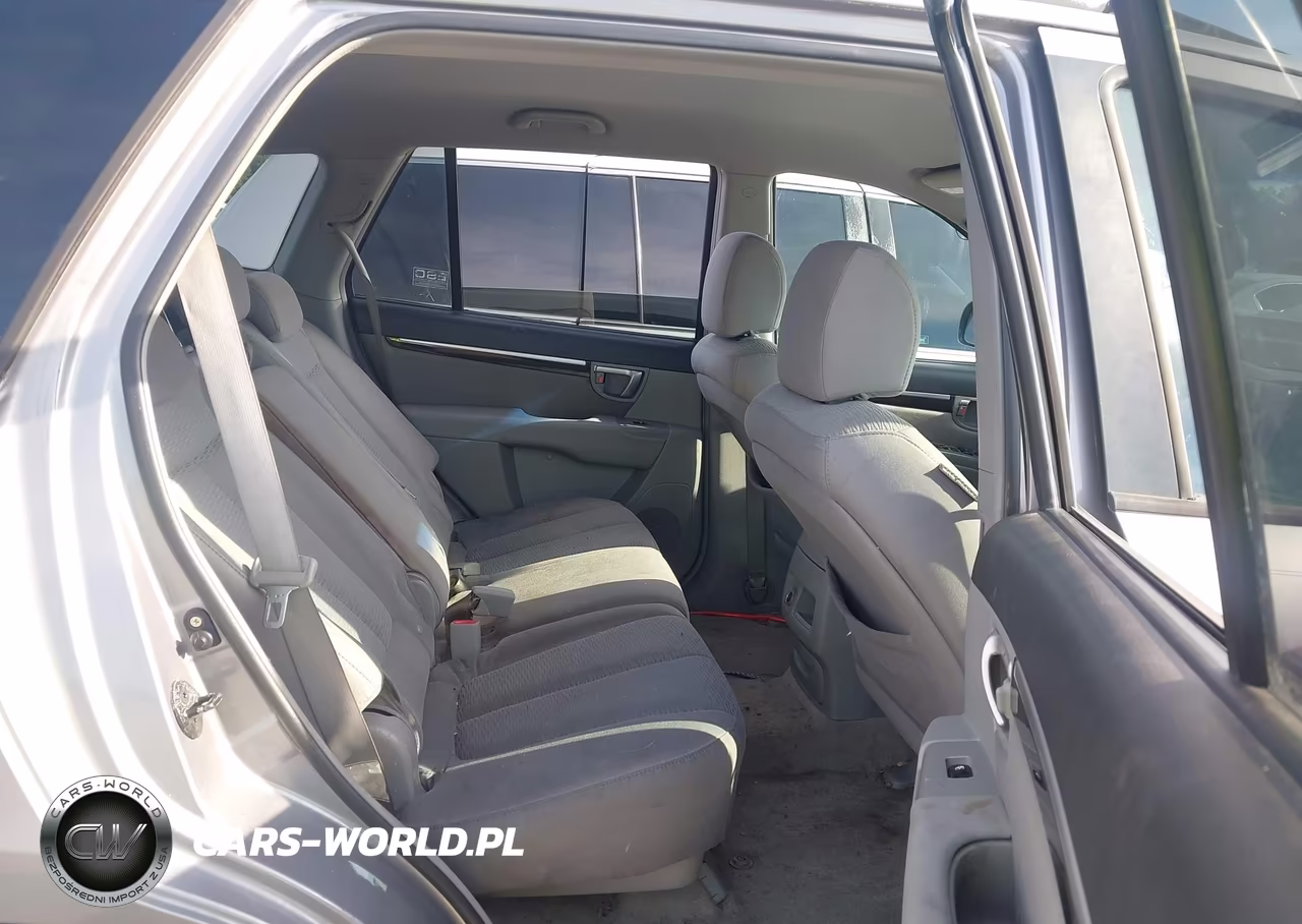 2007 Hyundai Santa Fe Gls VIN:5NMSG13D87H093630 - 8