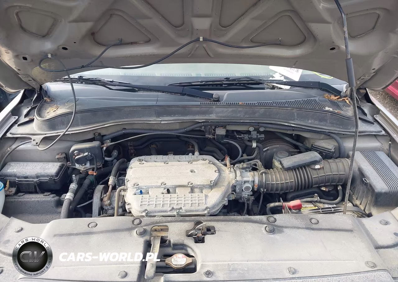 2006 Honda Pilot Ex-L VIN:2HKYF18646H540088 - 10