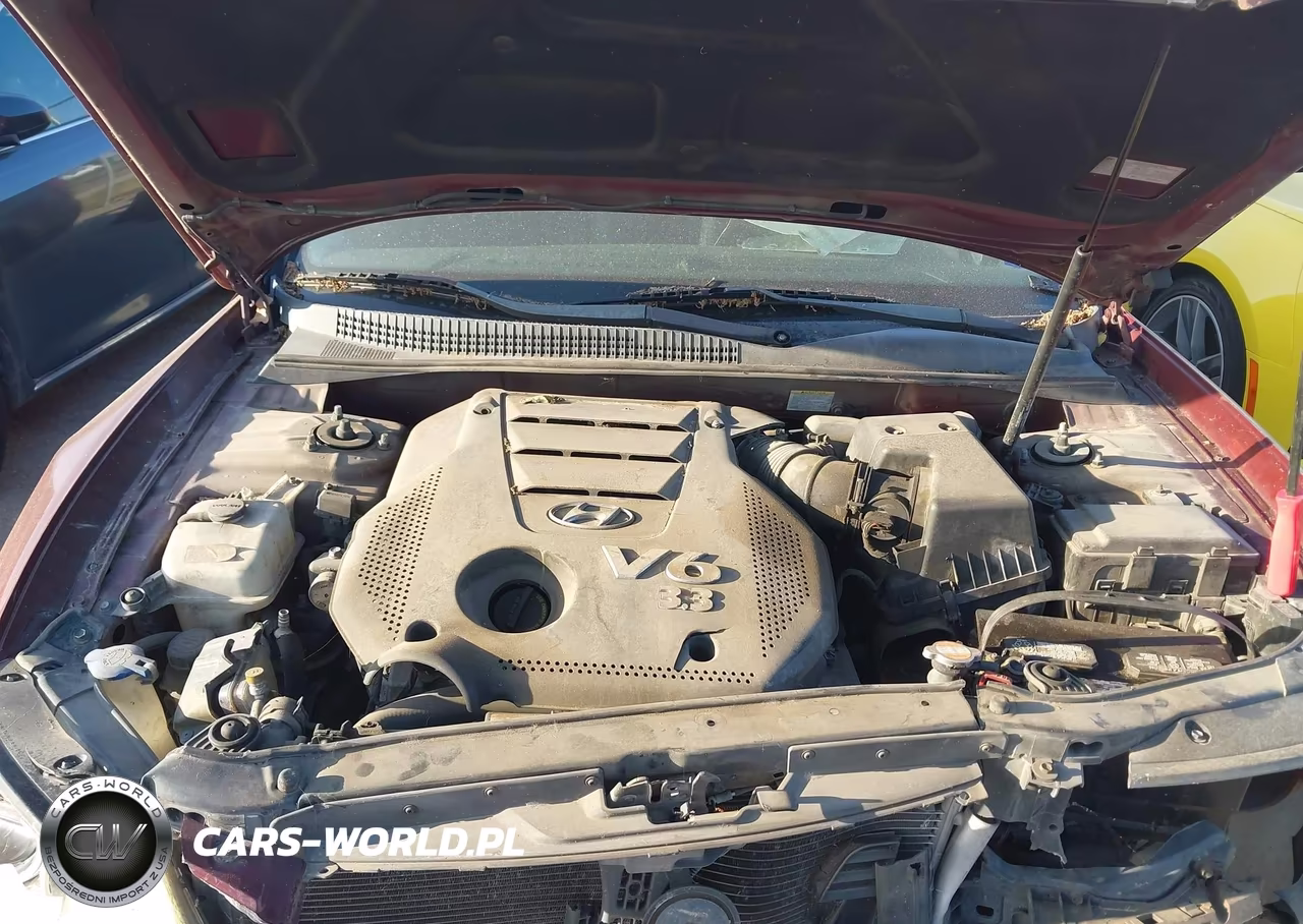 2009 Hyundai Sonata Se V6 VIN:5NPEU46F59H455794 - 10
