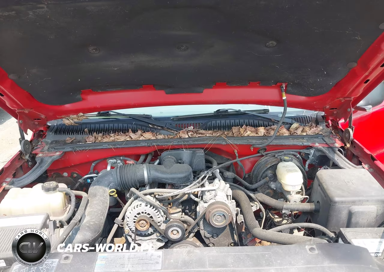 2005 Chevrolet Silverado 1500 Work Truck VIN:1GCEC19X75Z211041 - 10
