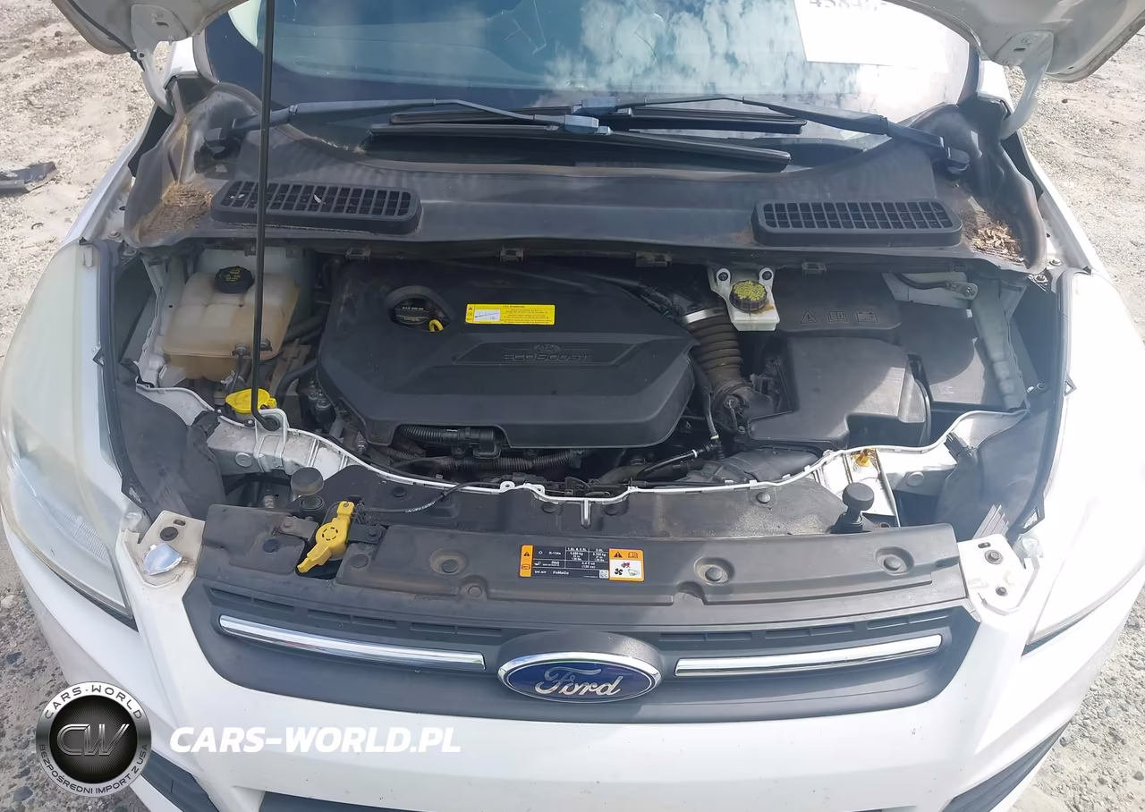 2016 Ford Escape Se VIN:1FMCU0GX1GUA95199 - 10