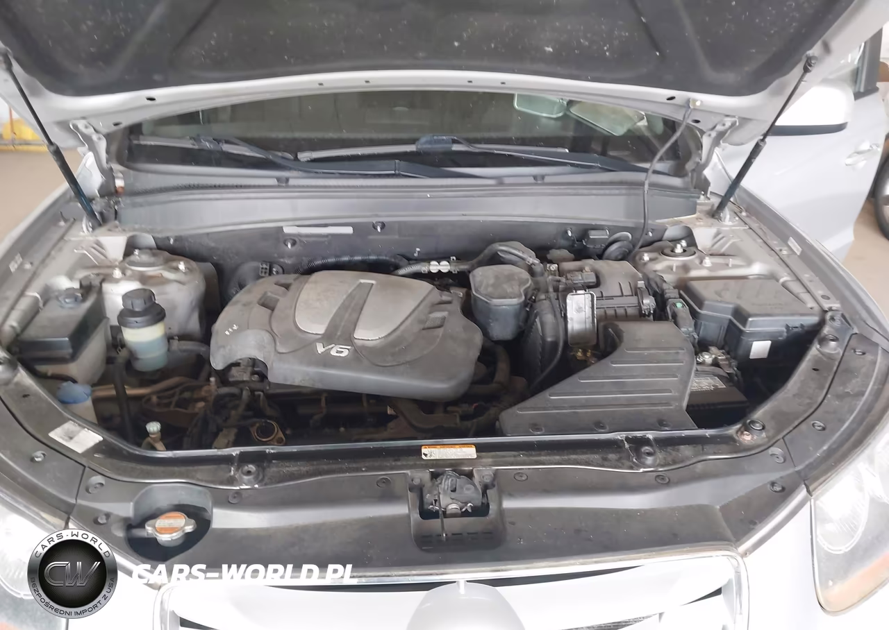2010 Hyundai Santa Fe Limited V6 VIN:5NMSK4AG8AH395679 - 10