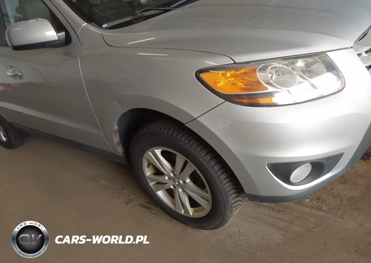 2010 Hyundai Santa Fe Limited V6 VIN:5NMSK4AG8AH395679 - 6