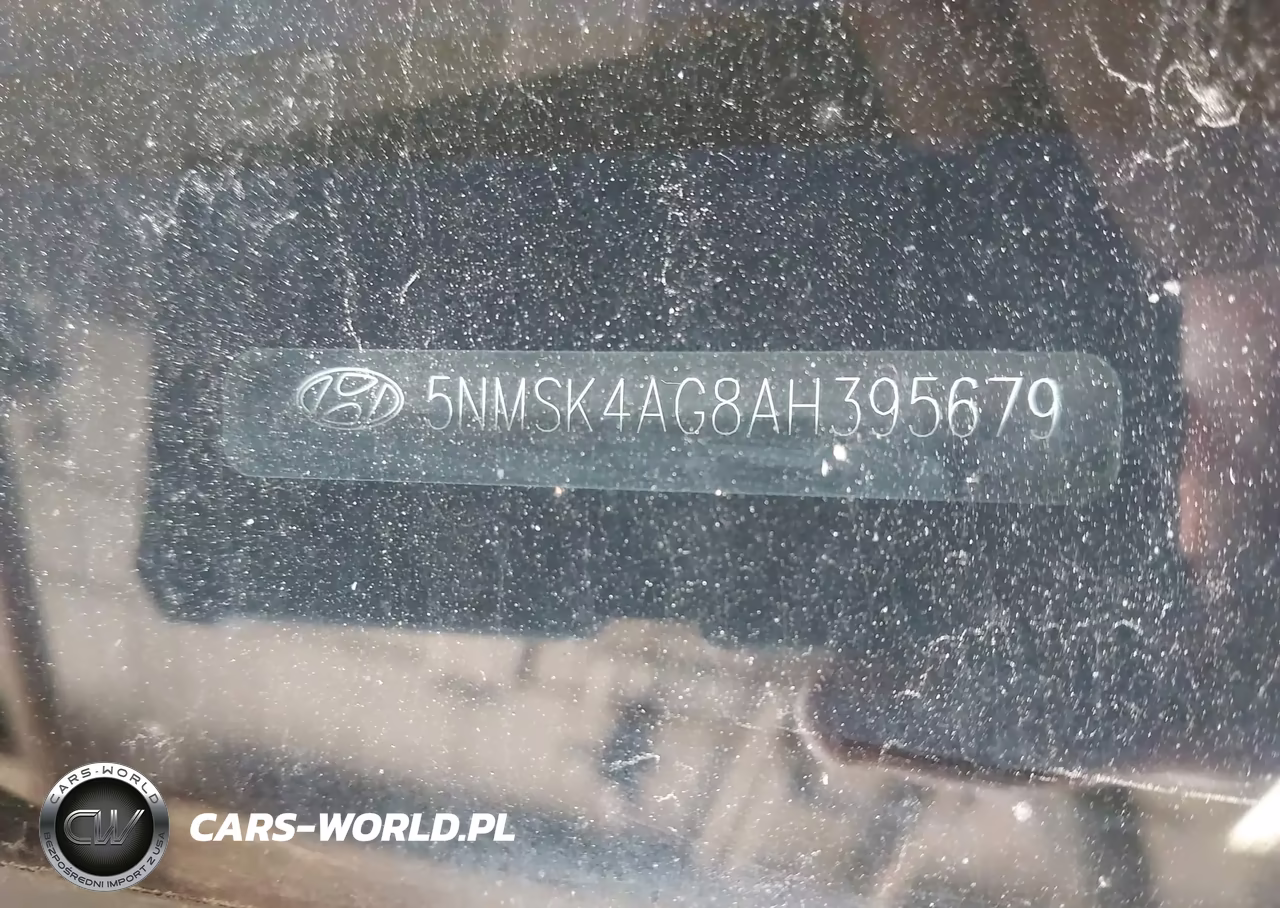 2010 Hyundai Santa Fe Limited V6 VIN:5NMSK4AG8AH395679 - 9
