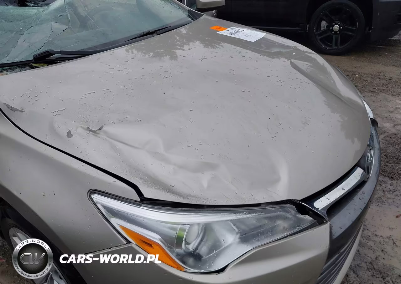 2017 Toyota Camry Le VIN:4T1BF1FKXHU700825 - 17