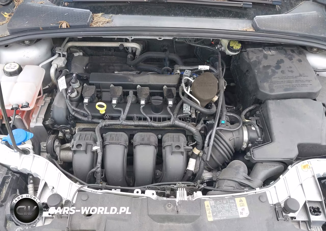 2015 Ford Focus Se VIN:1FADP3K22FL203112 - 10
