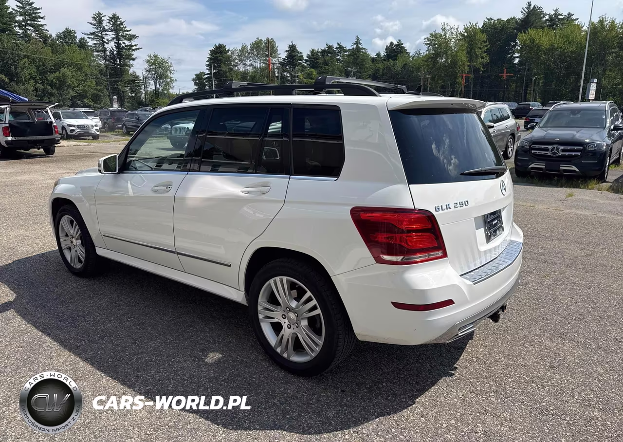 2013 Mercedes-Benz Glk 250 Bluetec VIN:WDCGG0EB1DG121664 - 3