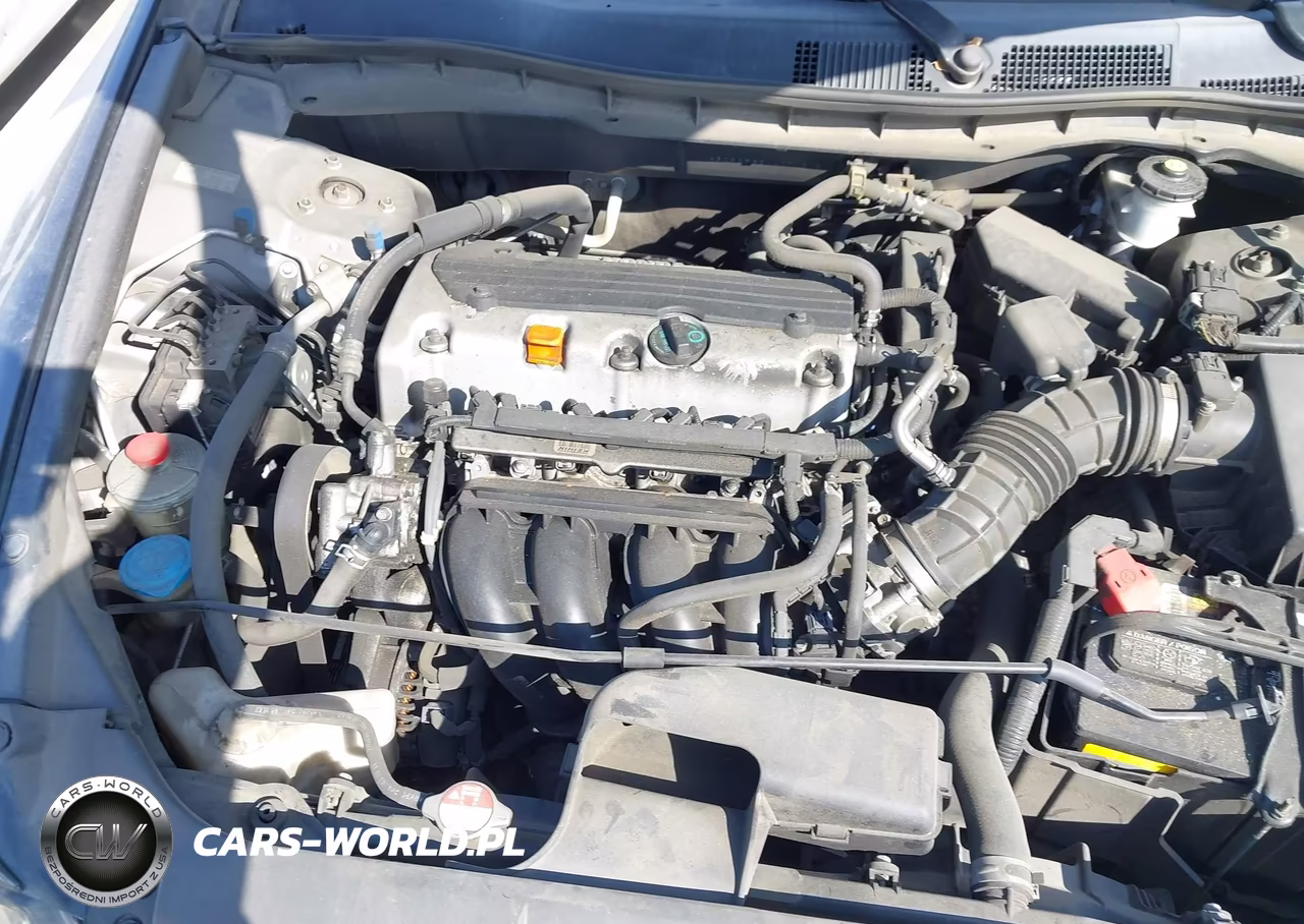 2010 Honda Accord 2.4 Lx VIN:1HGCP2F32AA071316 - 10