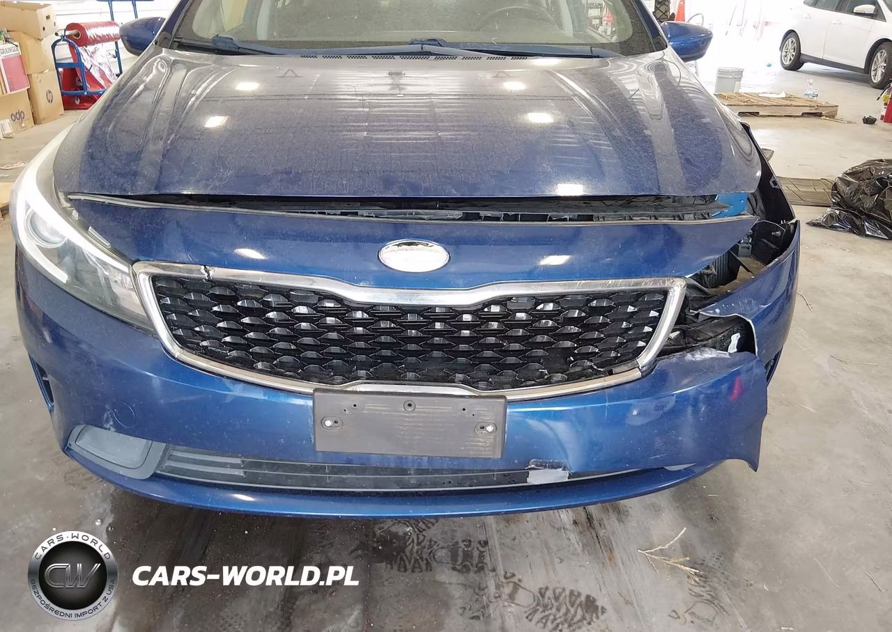2018 Kia Forte Lx VIN:3KPFL4A78JE196802 - 13