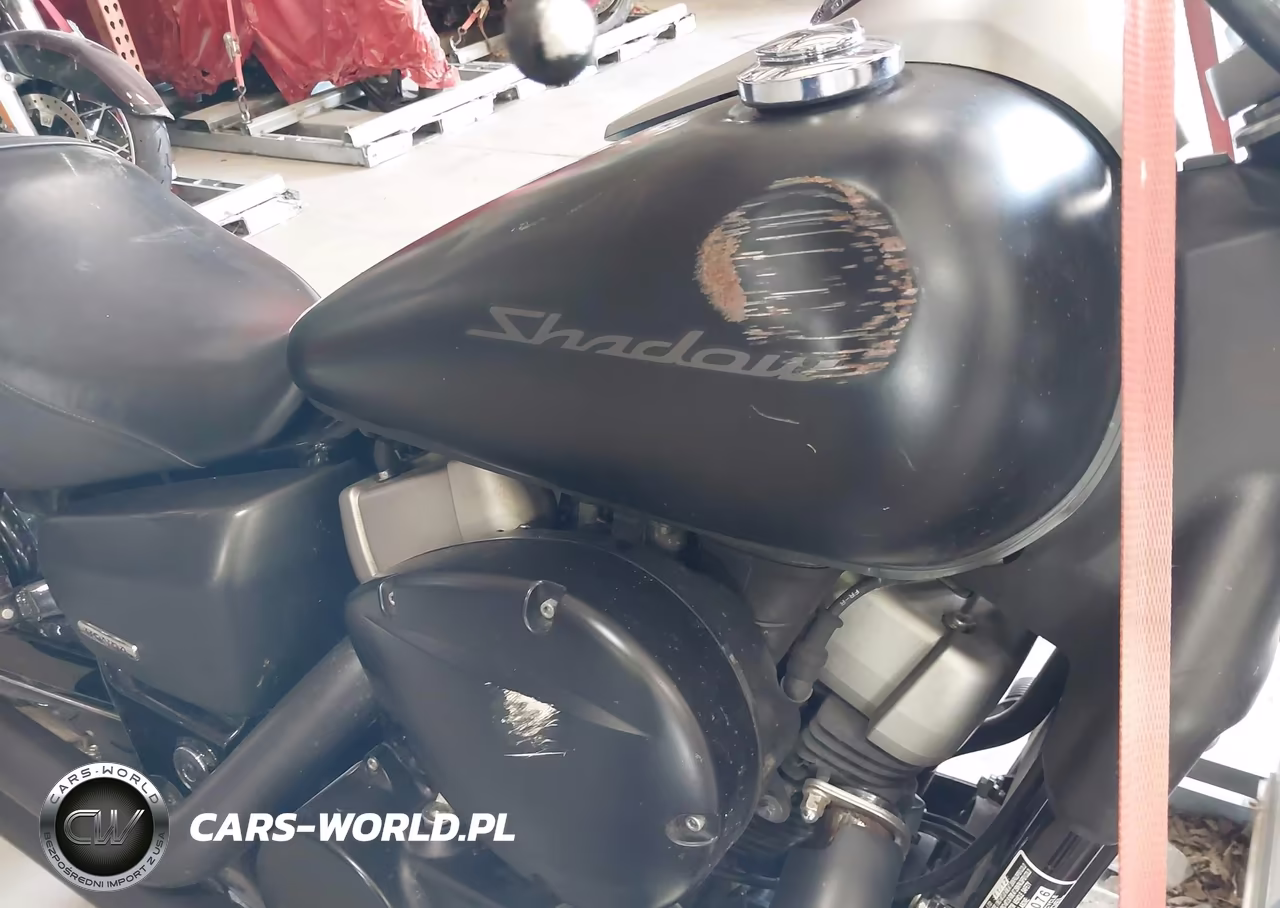 2013 Honda Vt750 C2B VIN:JH2RC5375DK301076 - 14