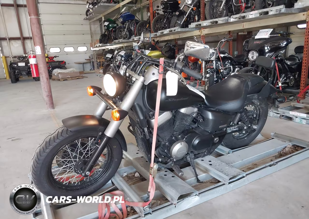 2013 Honda Vt750 C2B VIN:JH2RC5375DK301076 - 2