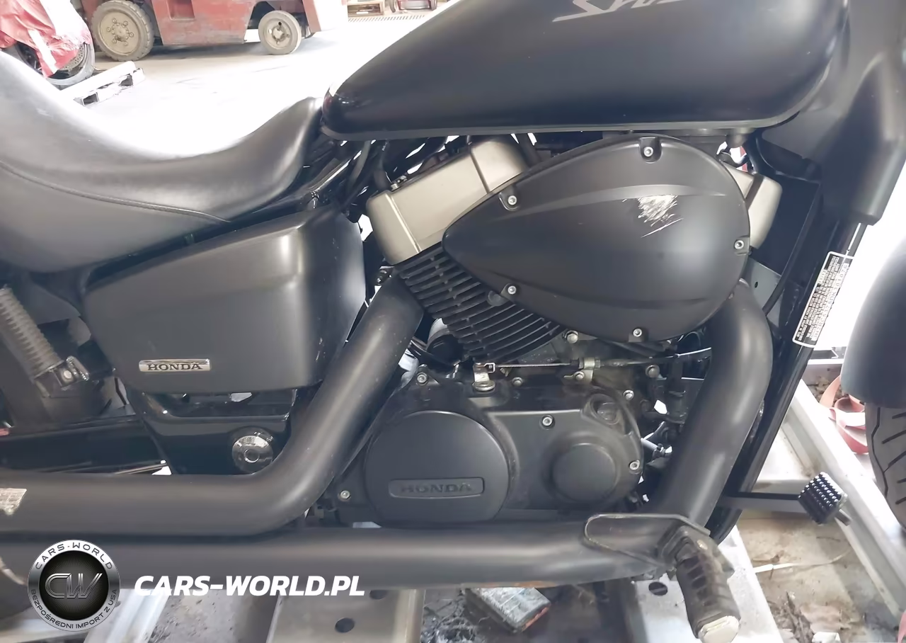 2013 Honda Vt750 C2B VIN:JH2RC5375DK301076 - 8