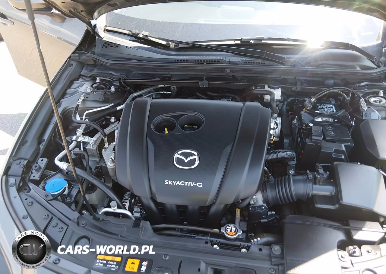 2019 Mazda Mazda3 Preferred Package VIN:JM1BPBMM4K1134150 - 10